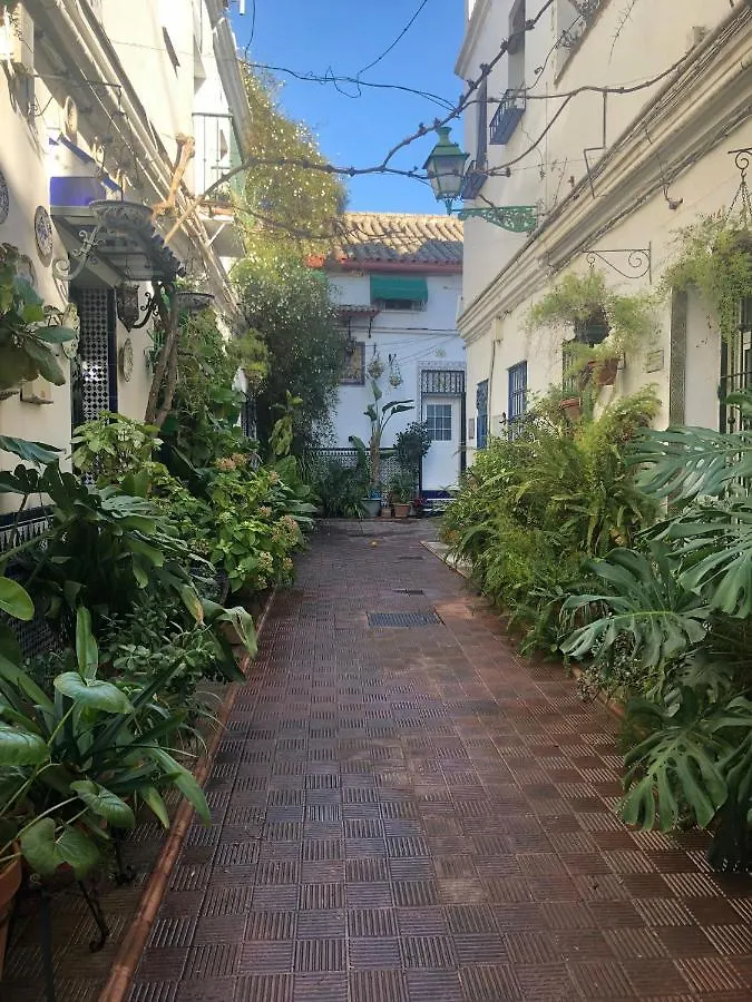 Charming House In Triana,Best City View From Patio Seville Holiday home