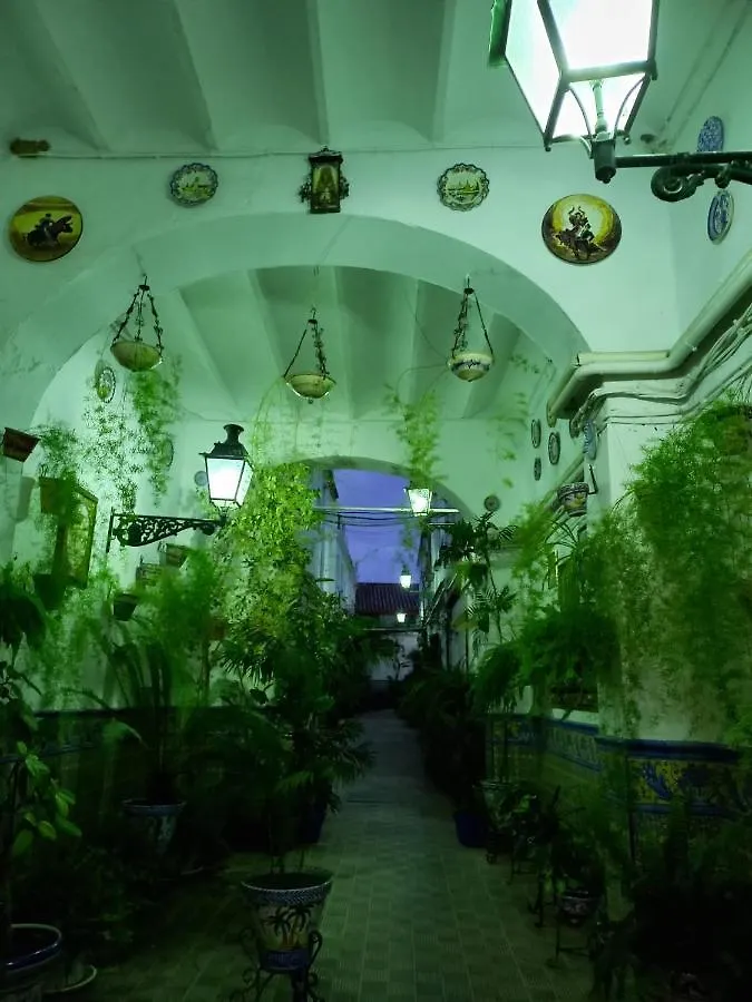 Holiday home Charming House In Triana,Best City View From Patio Seville Spain