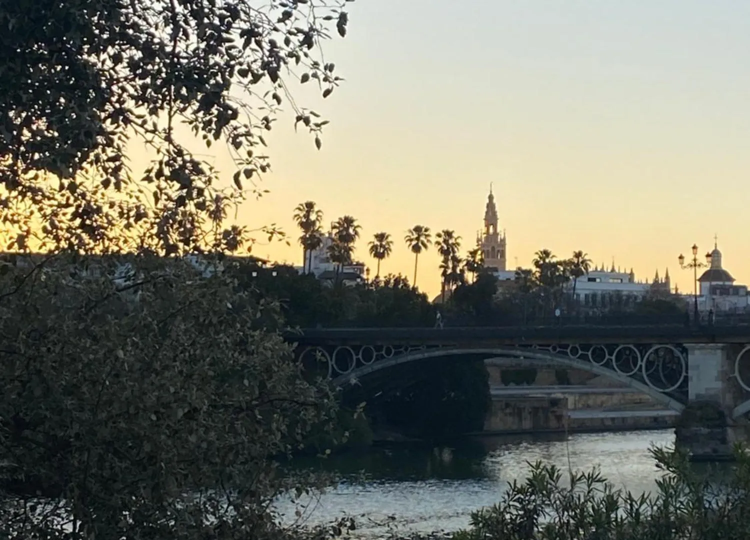 Charming House In Triana,Best City View From Patio Seville Spain